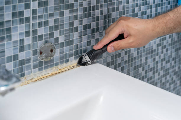 Best Mold Damage Repair  in Malverne, NY