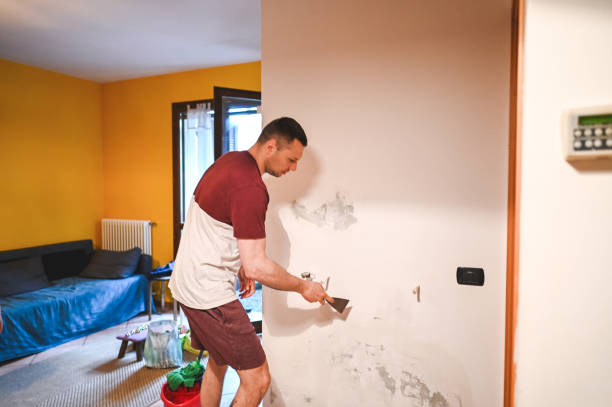 Best Professional Mold Removal  in Malverne, NY
